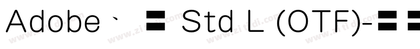 Adobe 宋体 Std L (OTF)字体转换